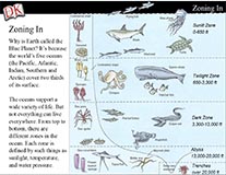 Ocean Zones Cover Image