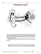 Three Ears in One