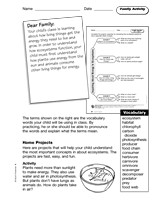 Energy in Ecosystems: Family Activity