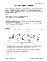 Turtle Simulation