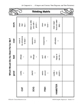 Thinking Matrix