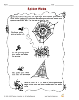 Spider Webs